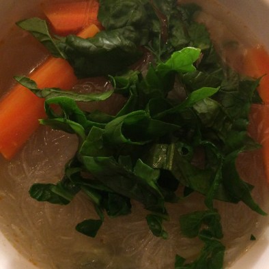 Sick White Girl Asian Noodle Soup